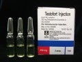 Testofort (Testosterone Enanthate) 250mg/1ml by Pliva / Amp