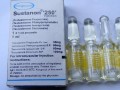 Sustanon 250mg Organon x 50 amps